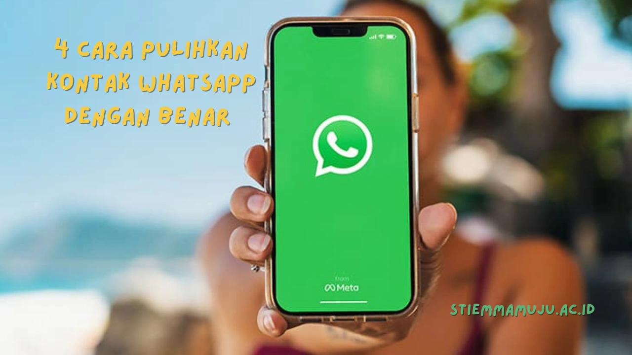 4 Cara Pulihkan Kontak WhatsApp dengan Benar