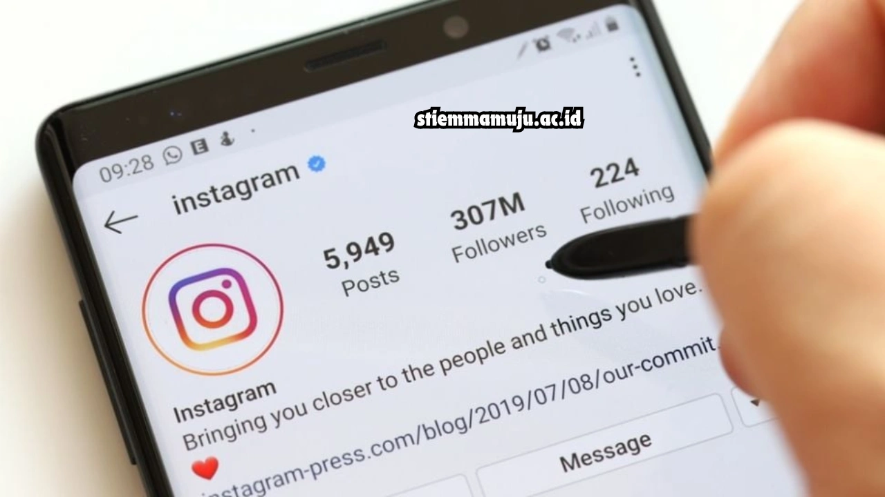 Cara Melihat Followers Instagram Yang Unfollow